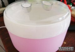 自制酸奶怎么做_水果酸奶的做法